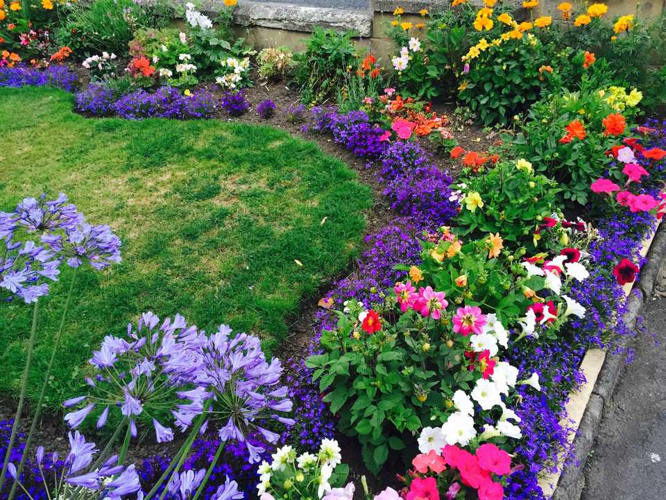 Do-It-Yourself Landscaping Tips