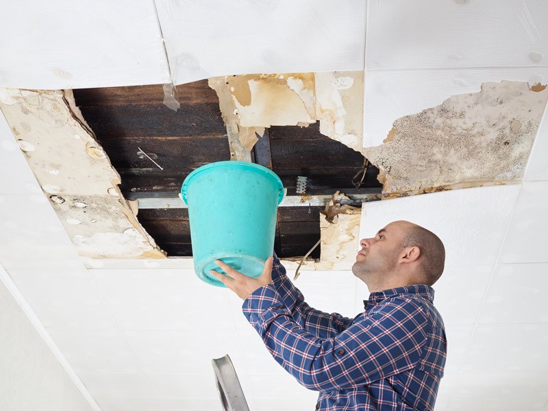 Some fixes are bigger than others. Know what to look for before you buy.