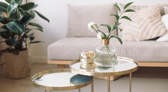 2023 Design Trends