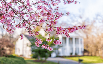 4 Ways To Make an Offer That Stands Out This Spring